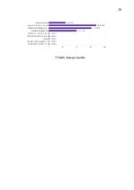 Research Papers 'Kontrafakto preču izplatība e-komercijas vidē: ietekme uz Latvijas tautsaimniecī', 29.