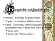 Presentations 'Seno romiešu literatūra', 5.