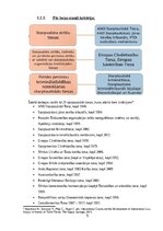 Research Papers 'Praktikums starptautiskajās tiesībās', 5.