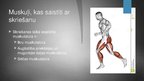 Presentations 'Svarīgākās muskuļu grupas iesildoties un atsildoties pēc skriešanas', 4.