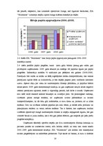 Research Papers 'Līzinga izmantošanas efektivitāte uzņēmumā SIA "Multimark"', 20.