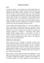 Research Papers 'Celtniecība un būvdarbi', 1.