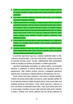 Research Papers 'Konkurences ietekme uz organizāciju un tās attīstības virzieniem', 28.
