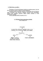 Research Papers 'Lēmumu pieņemšanas mehānisms Eiropas Savienībā', 15.
