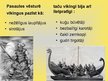 Presentations 'Vikingu laikmets', 4.