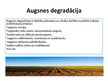 Presentations 'Lauksaimniecības mehanizācija un ar to saistītās ekoloģiskās problēmas', 9.
