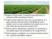 Presentations 'Lauksaimniecības mehanizācija un ar to saistītās ekoloģiskās problēmas', 10.