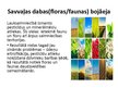 Presentations 'Lauksaimniecības mehanizācija un ar to saistītās ekoloģiskās problēmas', 15.