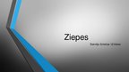 Presentations 'Ziepes', 1.