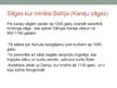 Presentations 'Ziemeļeiropas sāgas, rūnakmeņi un anglosakšu rakstītās tradīcijas par Latvijas t', 7.