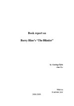Summaries, Notes 'Book Report on Barry Hines "The Blinder"', 1.