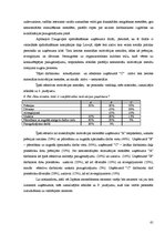Term Papers 'Japāņu menedžmenta elementu izmantošanas iespējas Latvijas uzņēmumu personālvadī', 61.