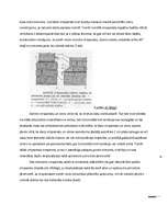 Research Papers 'Sienu elementi', 12.