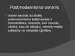 Presentations 'Vērtību mainība un relatīvisms postmodernismā', 12.