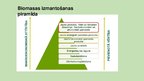 Presentations 'Biomasa', 5.