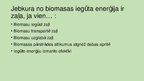 Presentations 'Biomasa', 10.