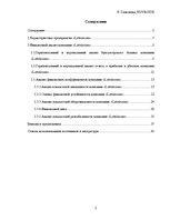 Practice Reports 'Финансовый отчёт компании "Lattelecom"', 2.