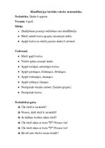 Summaries, Notes 'Klasifikācija: latviešu valoda - matemātika. Skaitļa 6 apguve', 6.