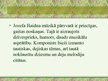Presentations 'Jozefa Haidna biogrāfija', 6.