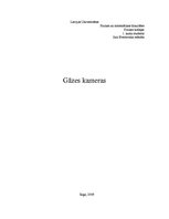 Research Papers 'Gāzes kameras', 1.