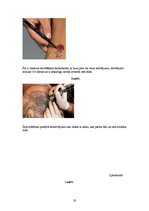 Research Papers 'Tetovējumu ietekme uz cilvēku veselību', 30.