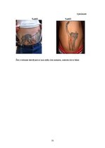 Research Papers 'Tetovējumu ietekme uz cilvēku veselību', 33.