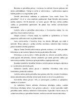Term Papers 'Jelgavas pilsētas ieņēmumu un izdevumu analīze', 26.