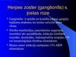 Presentations 'Herpes vīrusa CNS bojājums', 7.