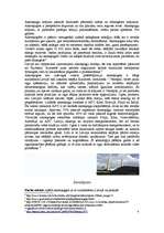 Research Papers 'Akmeņogļu raksturojums, veidošanās, pārstrāde, izmantošana', 4.