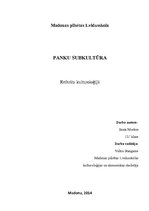 Research Papers 'Panku subkultūra', 1.