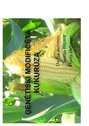 Presentations 'Ģenētiski modificēta kukurūza', 1.