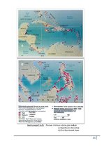 Research Papers 'Коралловые рифы и возможности их спасения', 31.
