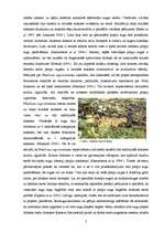 Essays 'Meža saimnieciskās izmantošanas ietekme uz reto sugu piepēm', 2.