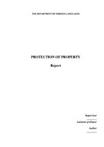 Research Papers 'Protection of Property', 1.
