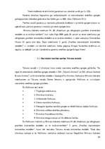 Research Papers 'Eiropas Savienības regulu ietekme uz normatīvajiem aktiem Latvijā un Tukuma nova', 24.