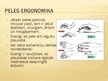 Presentations 'Datorergonomika', 10.
