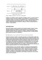 Research Papers 'OSI etalonu modelis', 4.