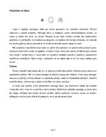 Summaries, Notes 'Pirmā palīdzība', 3.