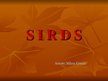Presentations 'Sirds', 1.