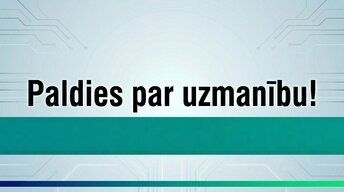 Presentations 'Kļūdas grāmatvedības uzskaitē un to labošana Latvijā', 13.