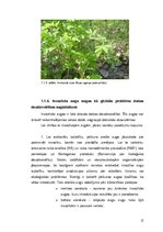 Term Papers 'Invazīvo augu sugu ierobežošana dabas parkā "Ragakāpa"', 12.