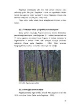 Term Papers 'Invazīvo augu sugu ierobežošana dabas parkā "Ragakāpa"', 22.