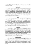 Research Papers 'Dažādi primātu kārtas dzīvnieki', 8.