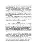 Research Papers 'Dažādi primātu kārtas dzīvnieki', 10.