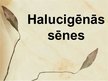 Presentations 'Halucinogēnās sēnes', 1.