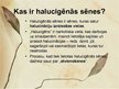 Presentations 'Halucinogēnās sēnes', 2.