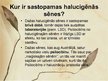 Presentations 'Halucinogēnās sēnes', 3.