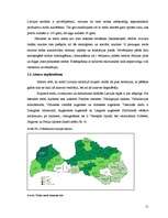 Research Papers 'Latvijas mežu degradācija', 11.