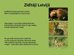 Presentations 'Zīdītāju sugu daudzveidības nozīme Latvijā', 4.