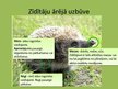 Presentations 'Zīdītāju sugu daudzveidības nozīme Latvijā', 6.
